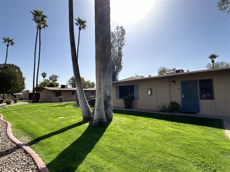 Paradise Village Apartments photo 2